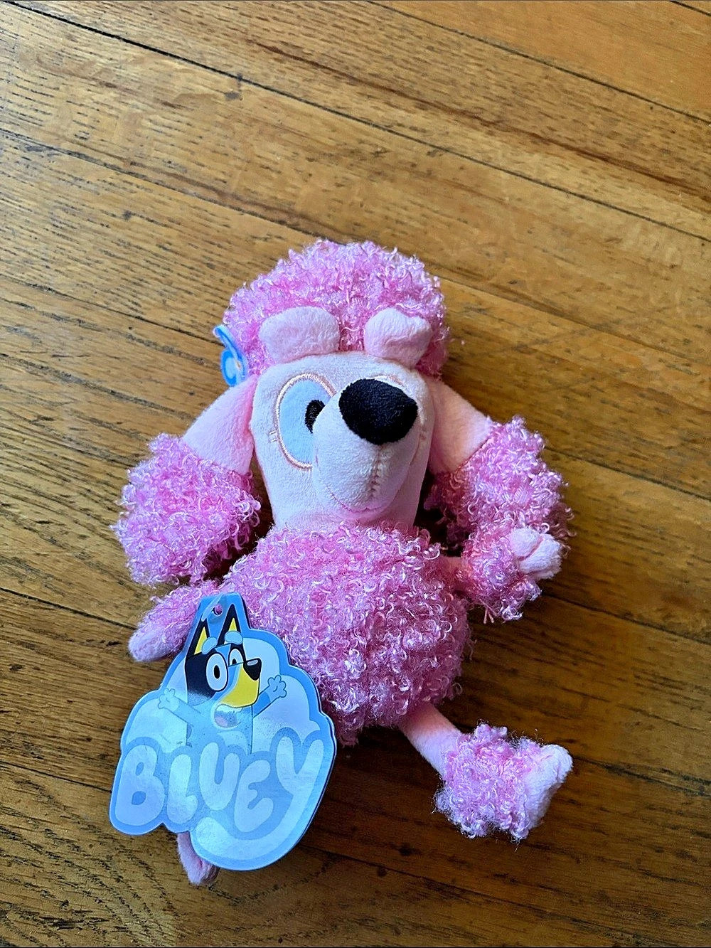 Moose Toys Bluey Friends Coco Pink Plush NWT